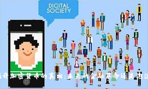 揭开加密货币的真相：未来的金融革命还是泡沫？