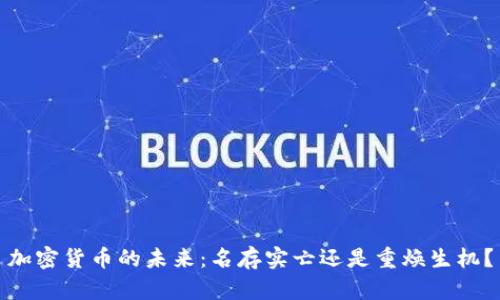 加密货币的未来：名存实亡还是重焕生机？