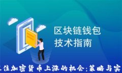 如何抓住加密货币上涨的机会：策略与实战指南