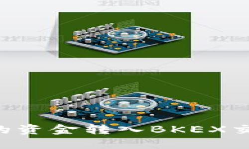 如何将TP钱包的资金转入BKEX交易所：详细指南