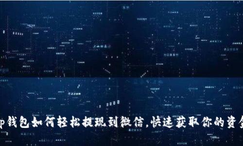 tp钱包如何轻松提现到微信，快速获取你的资金