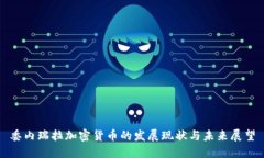 委内瑞拉加密货币的发展现状与未来展望