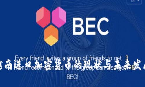 越南进口加密货币的现状与未来发展