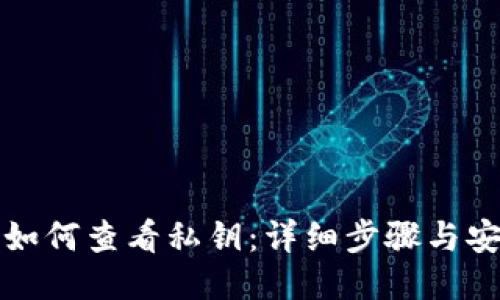 TP钱包如何查看私钥：详细步骤与安全指南
