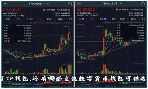 除了TP钱包，还有哪些主流数字货币钱包可供选择？