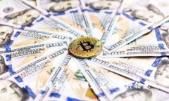 TP钱包中如何找回忘记的币种信息