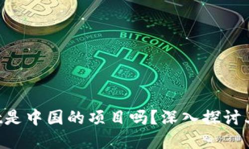 TokenPocket是中国的项目吗？深入探讨其背景与发展