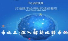 加密数字货币之王：深入解析比特币的生态与未