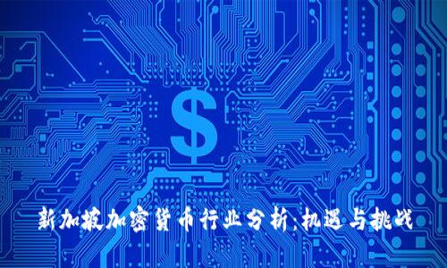 新加坡加密货币行业分析：机遇与挑战