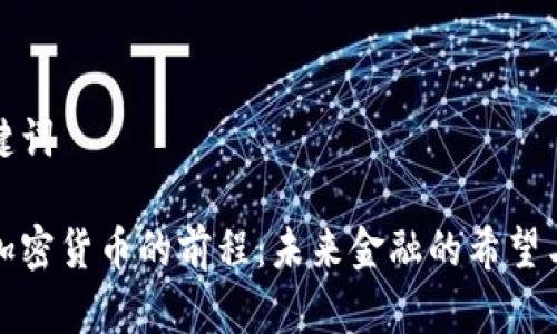 和关键词

数字加密货币的前程：未来金融的希望与挑战