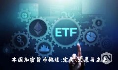 本国加密货币概述：定义、发展与未来