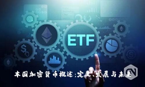 本国加密货币概述：定义、发展与未来