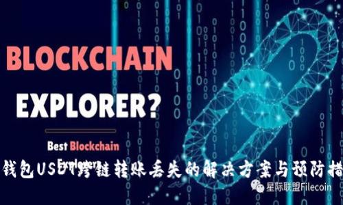 TP钱包USDT跨链转账丢失的解决方案与预防措施