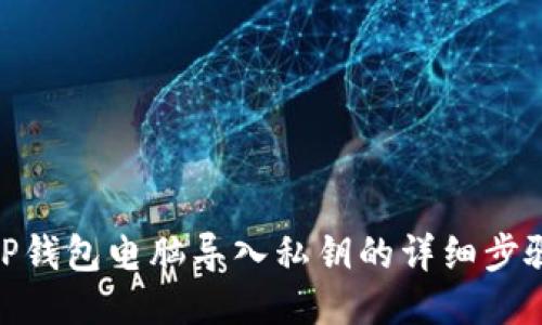 TP钱包电脑导入私钥的详细步骤