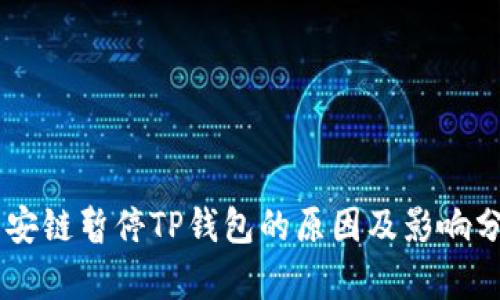 币安链暂停TP钱包的原因及影响分析