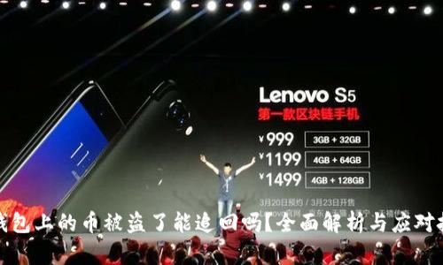 TP钱包上的币被盗了能追回吗？全面解析与应对技巧