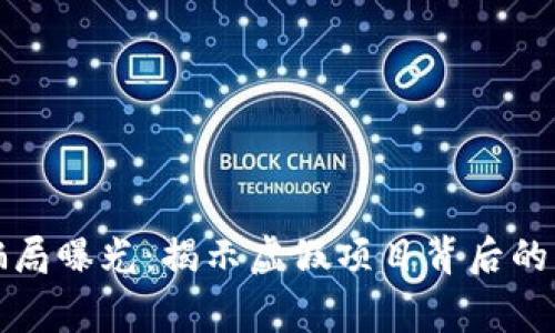 国家加密货币骗局曝光：揭示虚假项目背后的真相与防范措施