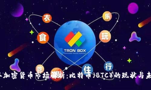 2023年加密货币市场解析：比特币（BTC）的现状与未来趋势