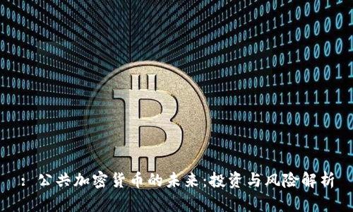 : 公共加密货币的未来：投资与风险解析