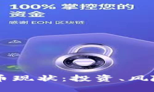 新兴加密货币现状：投资、风险与未来展望