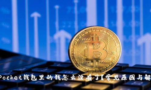TokenPocket钱包里的钱怎么没有了？常见原因与解决方法