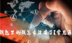 TokenPocket钱包里的钱怎么没有了？常见原因与解决