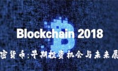 加密货币：早期投资机会与未来展望