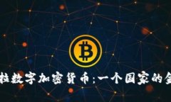 委内瑞拉数字加密货币：一个国家的金融变革