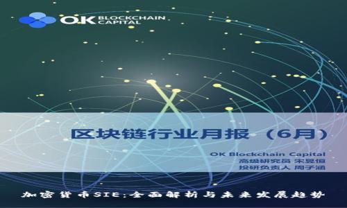 加密货币SIE：全面解析与未来发展趋势