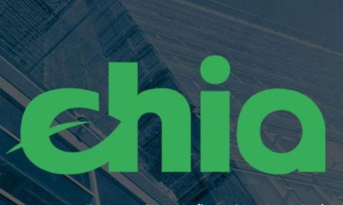 

TP钱包自定义代币与正常代币的区别解析