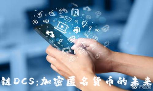   
区块链DCS：加密匿名货币的未来趋势