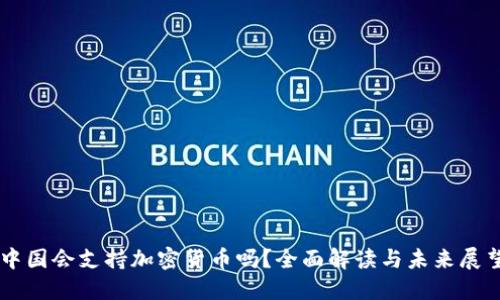 中国会支持加密货币吗？全面解读与未来展望