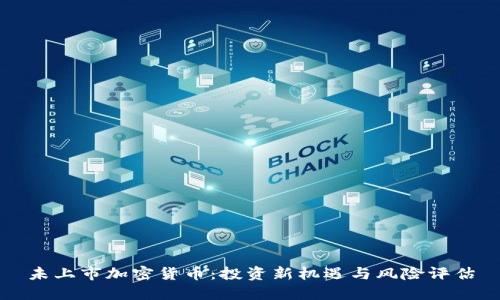 未上市加密货币：投资新机遇与风险评估