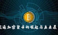 高通加密货币的崛起与未来展望