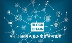 Grin: 如何成为加密货币的先锋