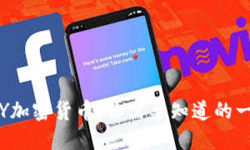 YSY加密货币：你需要知道的一切