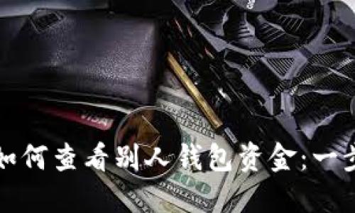 TP钱包如何查看别人钱包资金：一步步指南