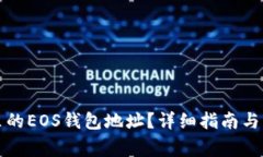 如何查看TP里的EOS钱包地址？详细指南与常见问题