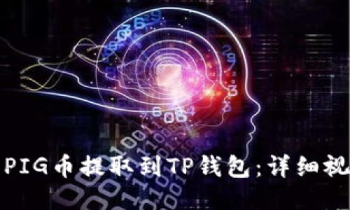 如何将PIG币提取到TP钱包：详细视频教程