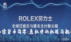 加密货币清零：危机中的机遇与挑战