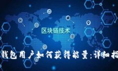 TP钱包用户如何获得能量：详细指南