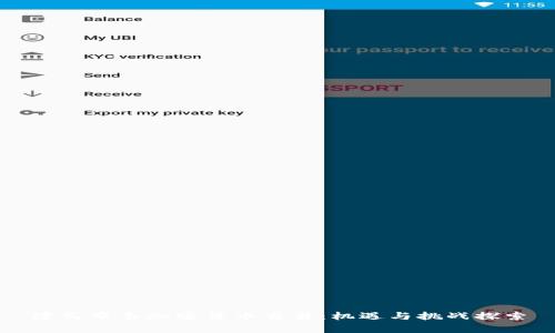 津巴布韦加密货币交易：机遇与挑战探索