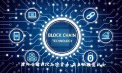 : 深入了解WSC加密货币：未来的投资机会