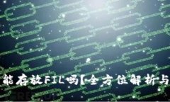 : TP钱包能存放FIL吗？全方位解析与使用指南