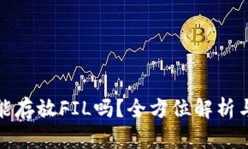 : TP钱包能存放FIL吗？全方位解析与使用指南