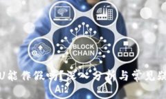 TP钱包U能作假吗？深入分析与常见疑问解答