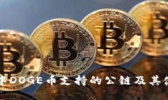 TP钱包中DOGE币支持的公链及其使用指南