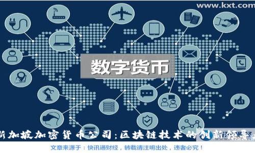 新加坡加密货币公司：区块链技术的创新领导者