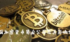 美国加密货币背后公司及其影响分析
