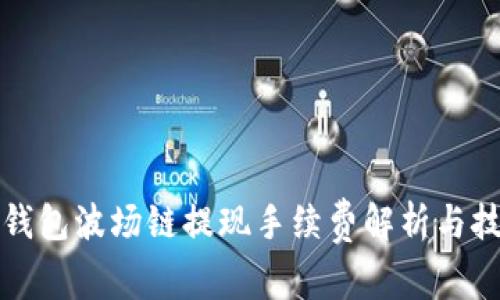 TP钱包波场链提现手续费解析与技巧